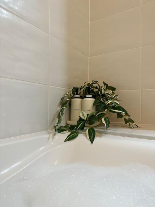 Jungle Suite - Moderne & Spacieux Аннесі Екстер'єр фото